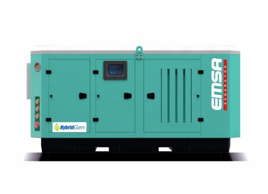 13 kVA YANGDONG YD385D, EMSA EGK160-10N2, 50 hz