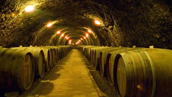 Sommeliers at Gibraltar Wine Vaults receive new generators