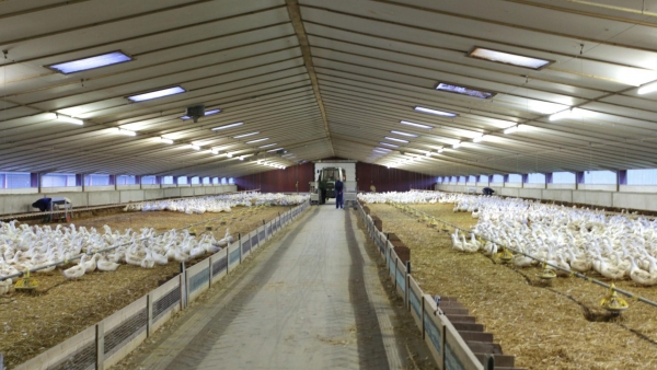 Livestock industry trusts EMSA’s powerful generators in Russia
