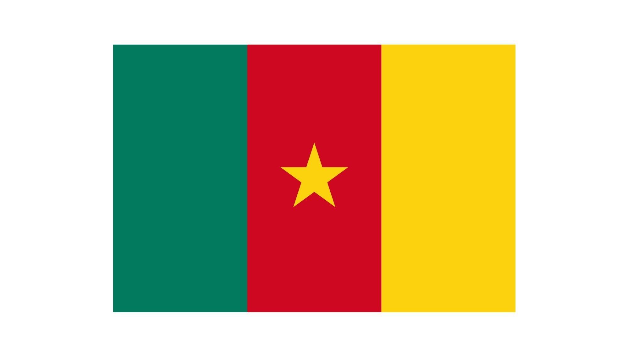EMSA gives government construction a boost in Cameroun
