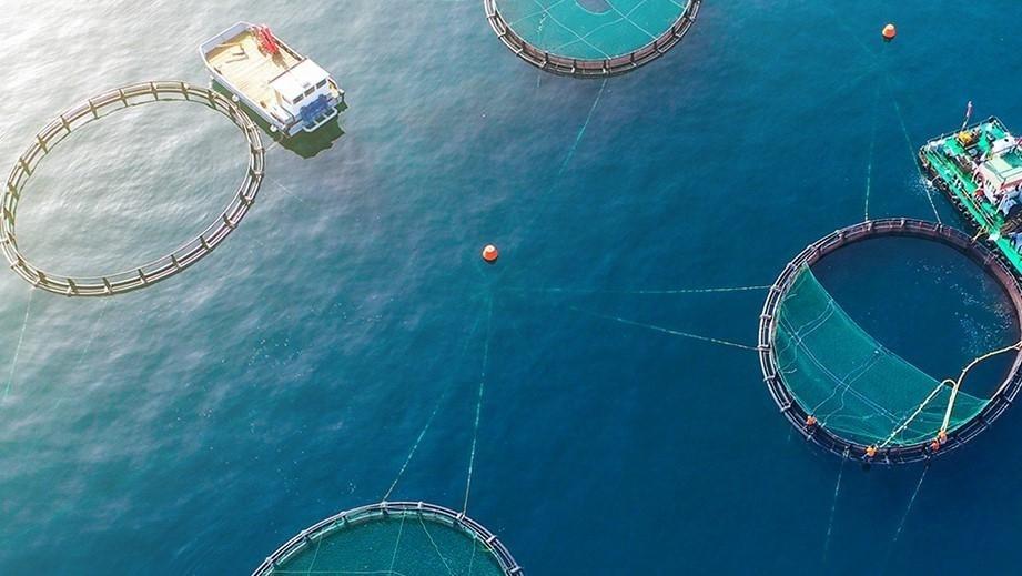 EMSA Supports The Food Supply By Powering Fisheries and Farms in Umm Al Quwain